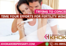 Trying to Conceive – Time Your Efforts for Fertility Window