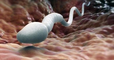 Low Sperm Count – A Succint Study into its Causes