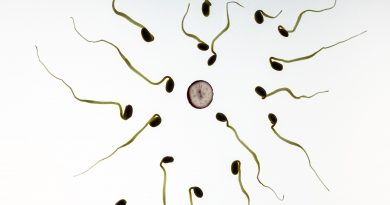 What affects Your Sperm Count?