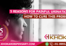 5 Reasons for Painful Urination and How to Cure this Problem?