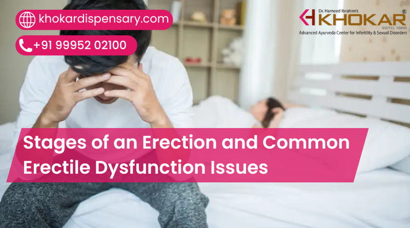 Stages of an Erection and Common Erectile Dysfunction Issues